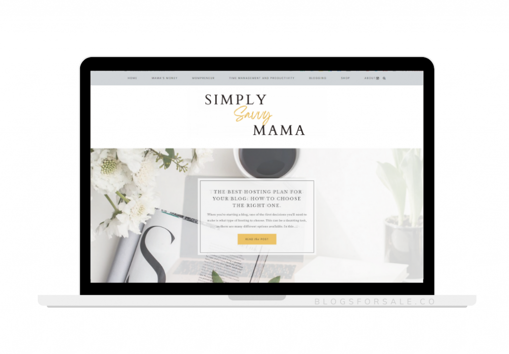blogs for sale